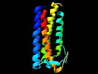 DNA 分子構造リボンモデル   生体分子 タンパク質 高分子構造  立体構造 遺伝子 塩基配列 ひも状 カートゥーンリボンモデル